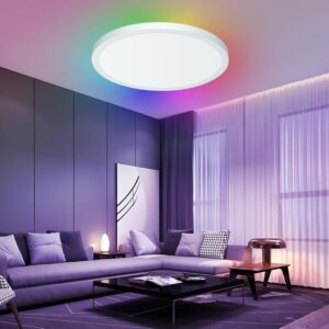 RGB Ceiling Light